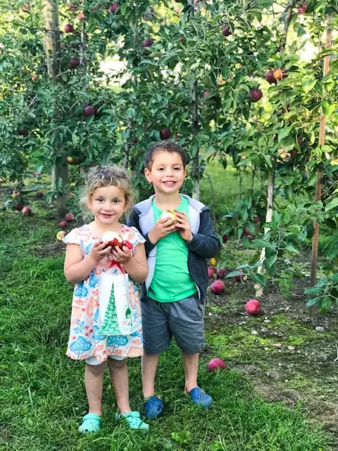 Children in an apple orchard while mom has a migraine