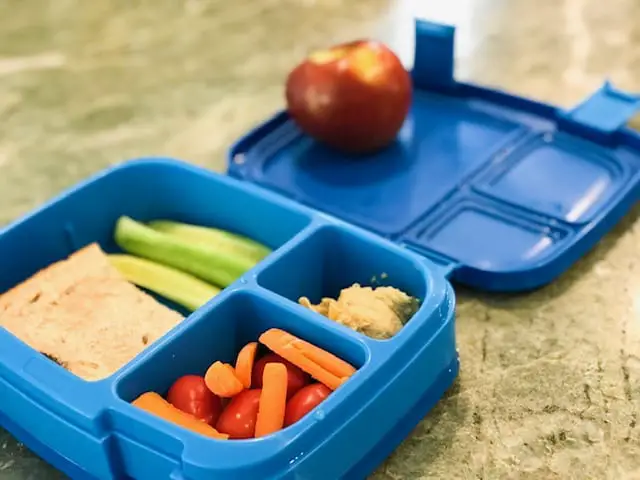 Blue bentgo box with fruit, veggies and sandwich helps while parenting with migraine 
