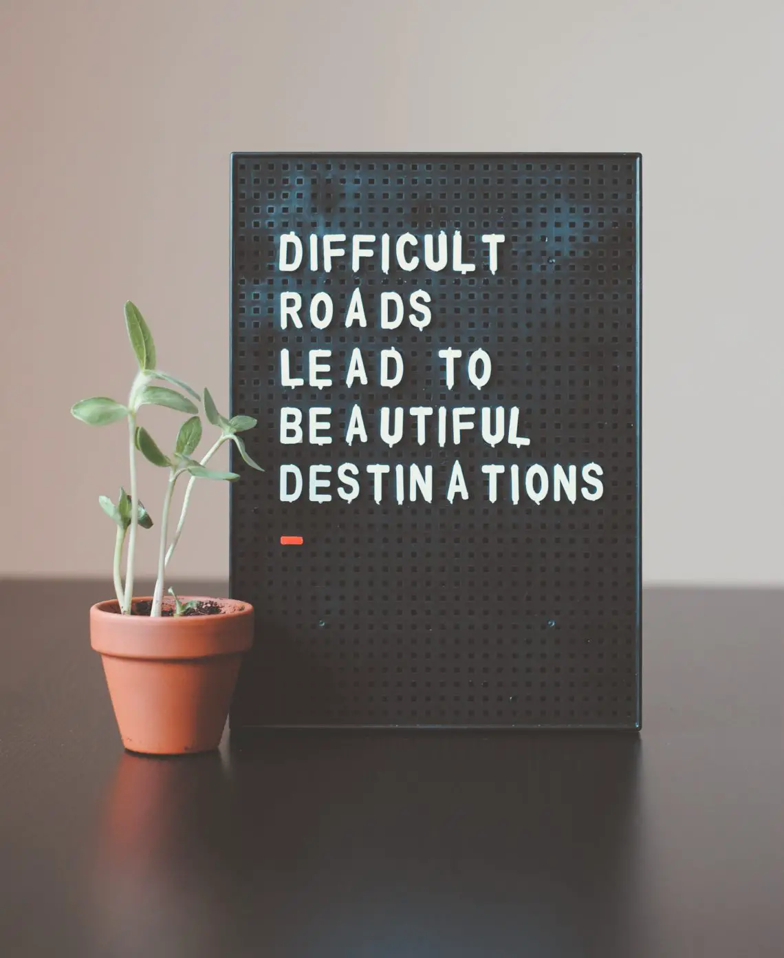 a sign that says difficult roads lead to beautiful destinations with a plant