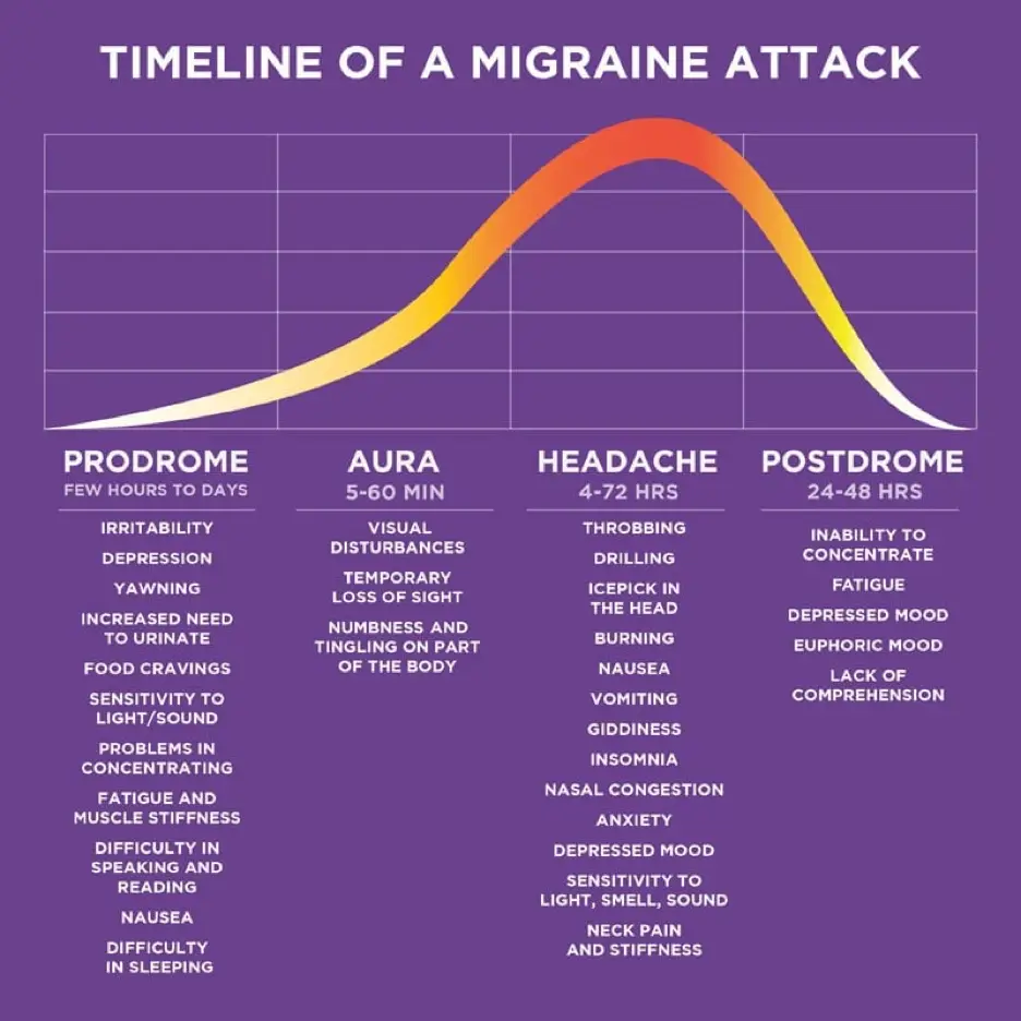 Phases of migraine graphic. 