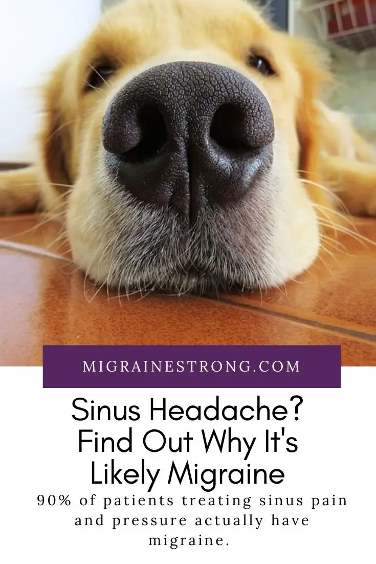 Sinus Headache? Find Out Why It\'s Likely Migraine