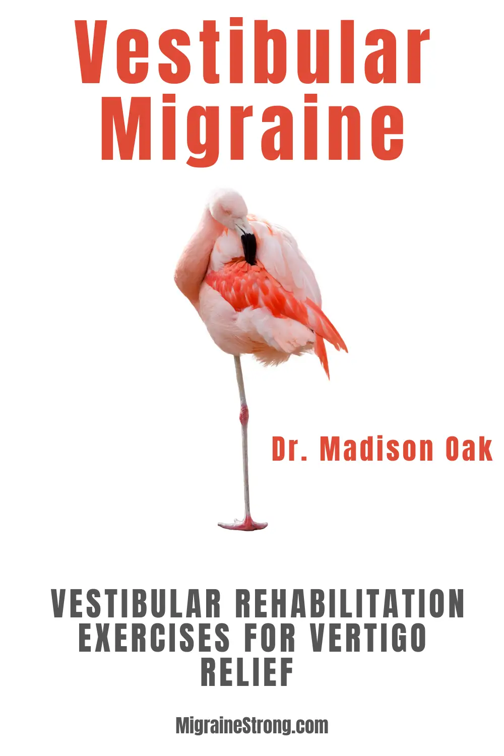 Vestibular Rehabilitation Therapy- Tips From a Vestibular Migraine Rehabilitation Therapist to Help You Overcome Dizziness Now