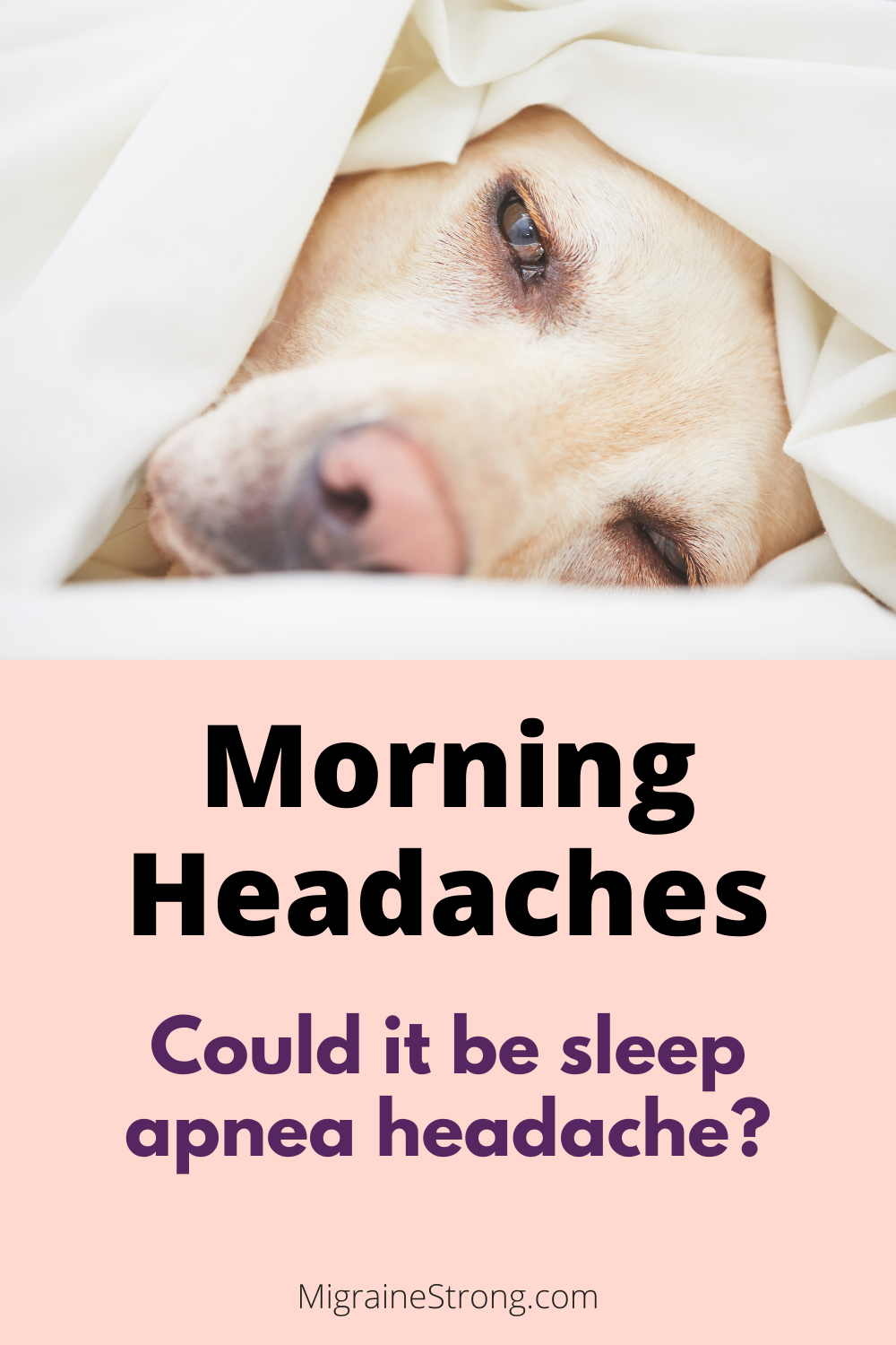 Sleep Apnea Headache and Migraine - What You Need to Know