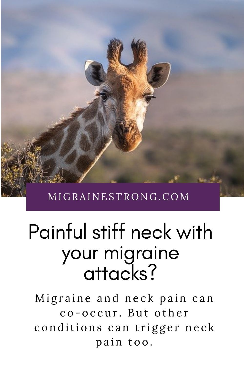 Painful stiff neck with your migraine attacks?