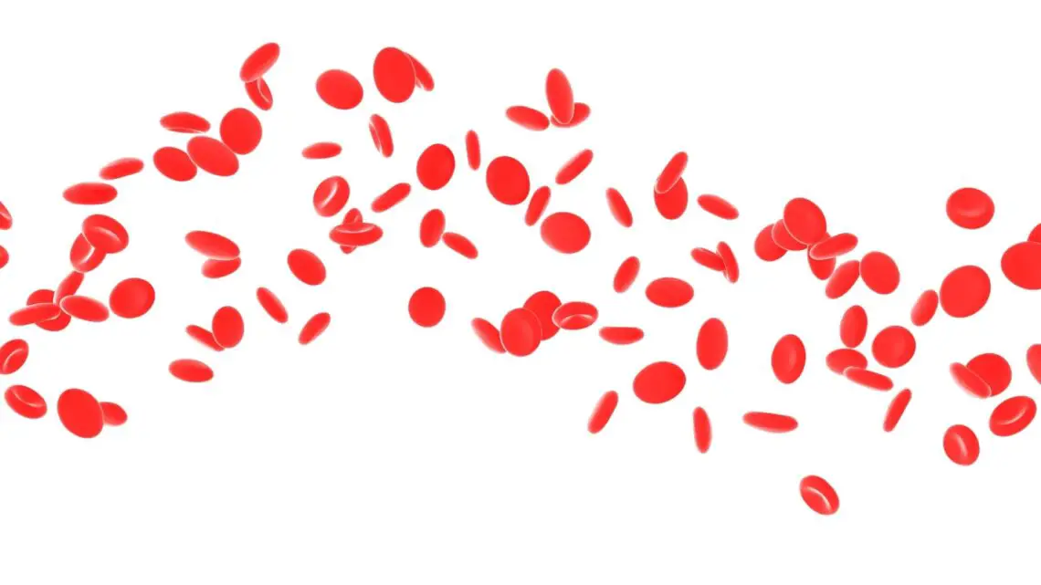 red blood cells that may be part of anemia headaches