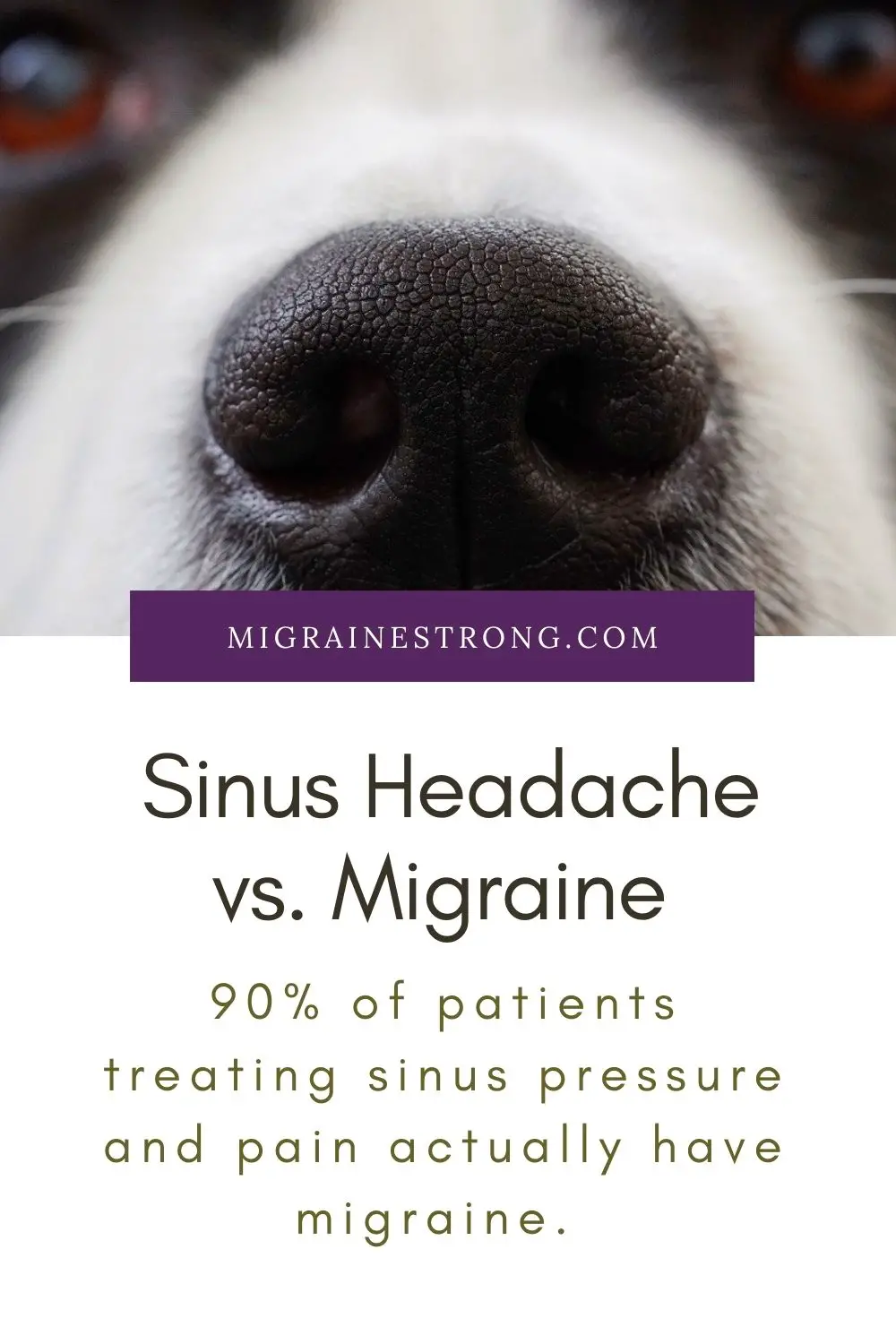 Sinus Headache vs. Migraine? Know the Difference and Find Relief