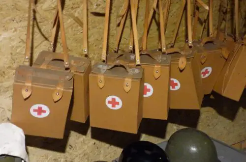 brown bags with red cross on them used for at home migraine treatment plan