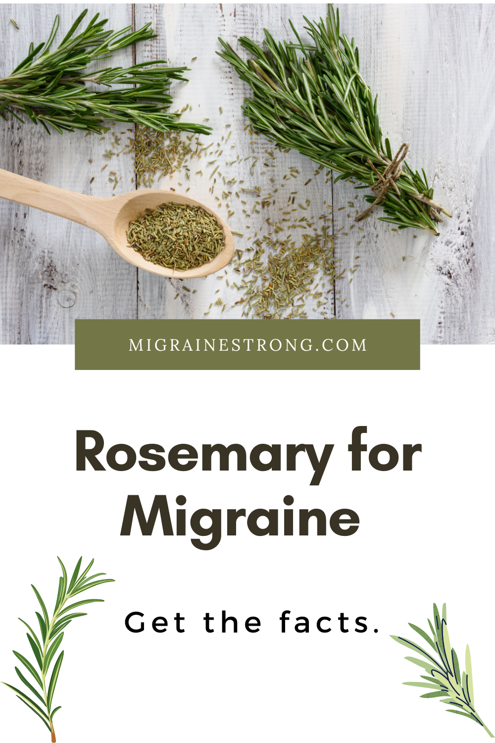 A Close Look at Rosemary for Migraine Headaches