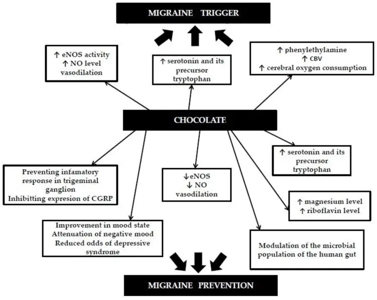 chocolate and migraine the mechanisms of whether chocolate is good for migraine headache